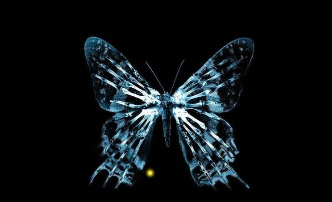 7,烧脑科幻,《蝴蝶效应》开启循环人生!