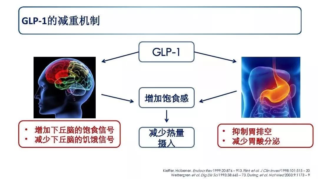 很多人都不知道的另一種降糖激素_胰島素