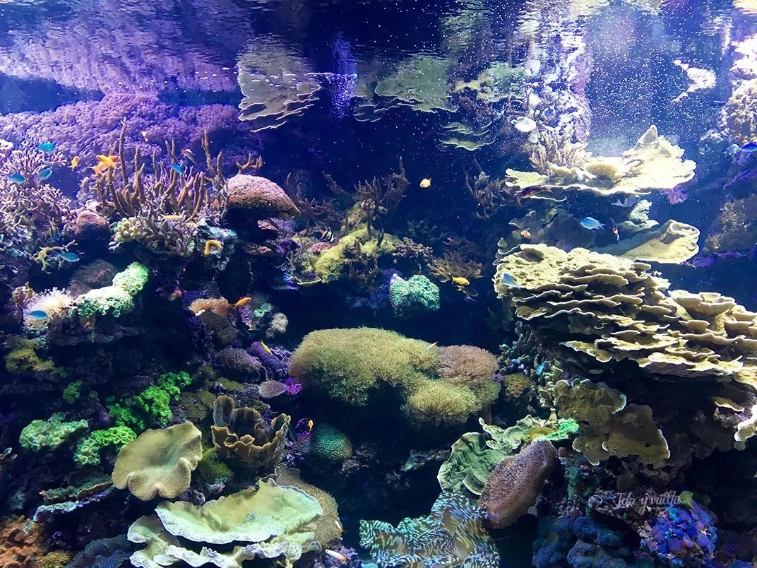 海洋生态馆(海洋生态馆建设方案)