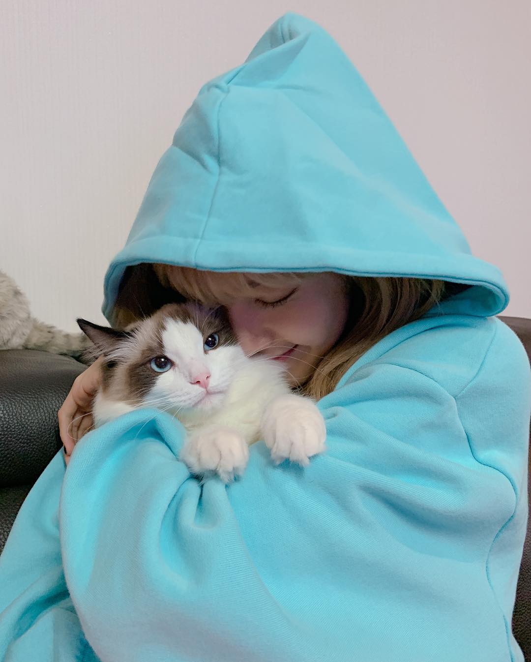 lisa接到了许久未见的leo和luca,想念之情溢出屏幕!_猫咪