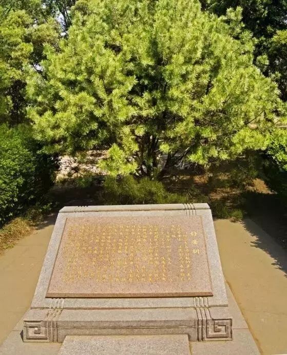 一门三院士,九子皆才俊,她才是民国最成功的母亲_王桂荃