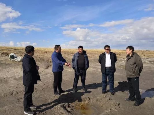 巴树桓一行深入新左旗吉布胡郎图苏木调研呼伦湖生态综合治理工作