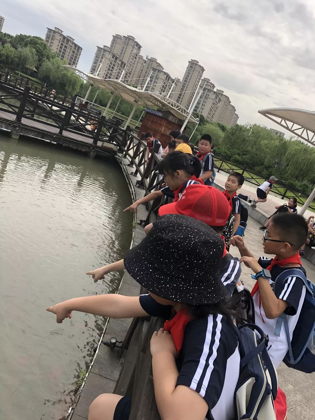 传承优秀文化 爱我美丽桐乡