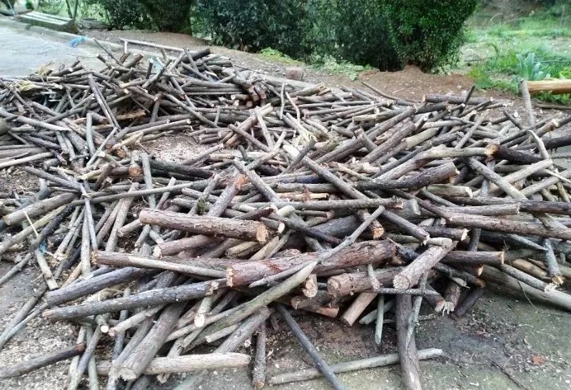 大家一起来看看,找寻你曾经的记忆!