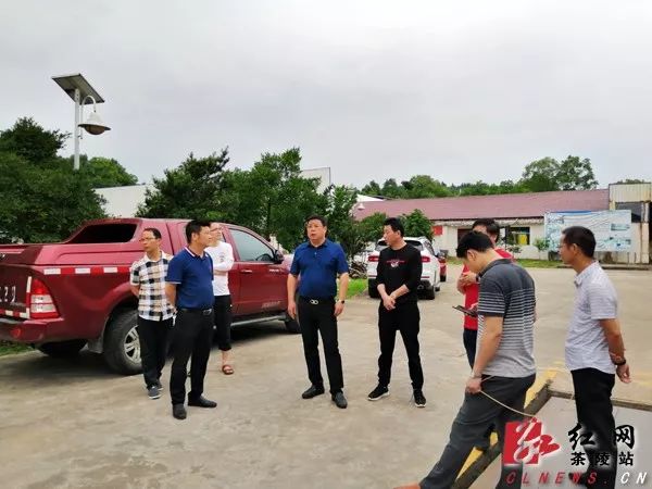 实地查看谢志军先后来到湖南龙良工艺品有限公司,茶陵县飞鹏竹木业