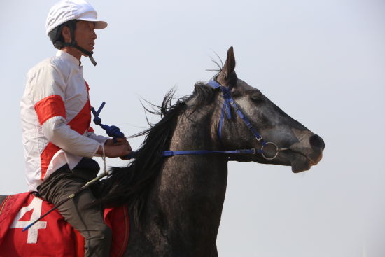 2019年科右中旗图什业图赛马会马术俱乐部联赛开赛