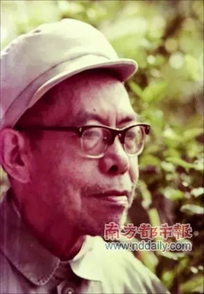 岭南中医世家杨志仁久病成医巨商初萌华佗志衣钵相传三代不改济世心