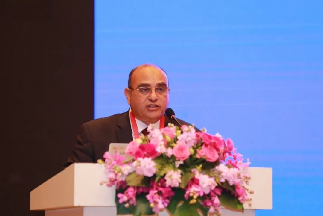 2019国际眼科论坛:人工智能与人工视觉(iof-aiav)圆满落幕_吴乐正