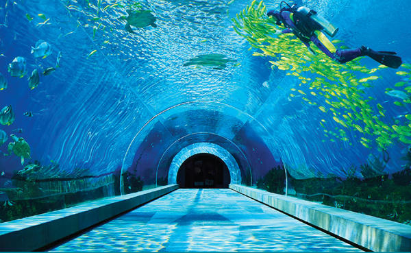 原创三亚这家酒店外观上看就像一只龙虾,曾经拍摄过《爸爸回来了》