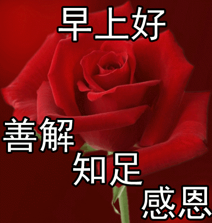早上好,今天是2019年05月31日,星期五,农历四月二十七.