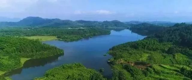 泾县这个国家级传统古村落 有棵500年的大树 你见过它吗?_承流峰