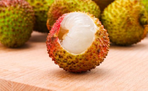 两日一物┃一骑红尘妃子笑