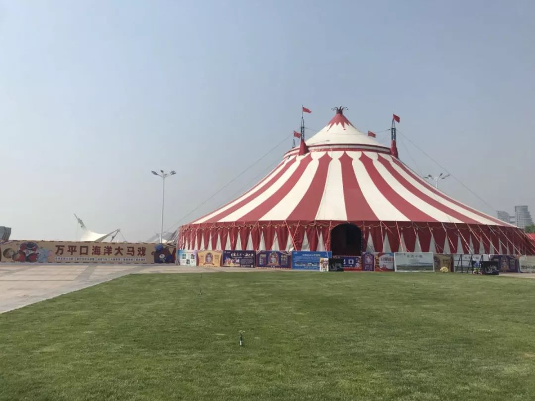 万平口海洋大马戏来了!马术,飞车,热舞,逗趣小丑就等你来!