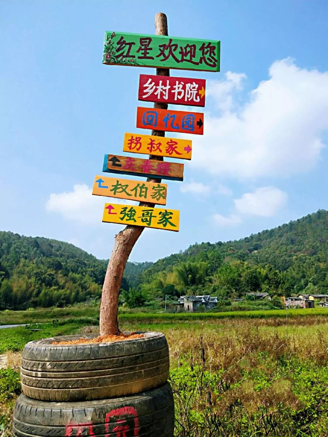 紫金一田園耕讀項目走紅鄉村旅遊引關注