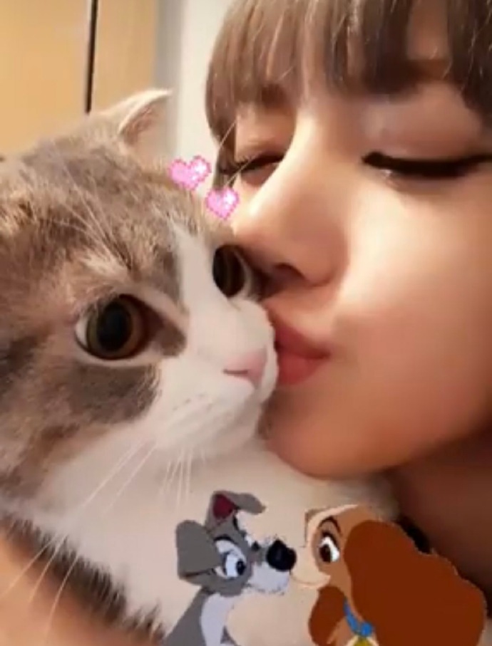 lisa接到了许久未见的leo和luca,想念之情溢出屏幕!_猫咪