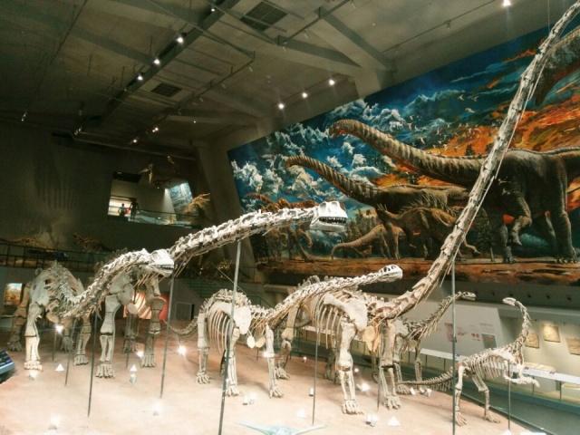 重庆自然博物馆恐龙展假如恐龙活到今天会怎样