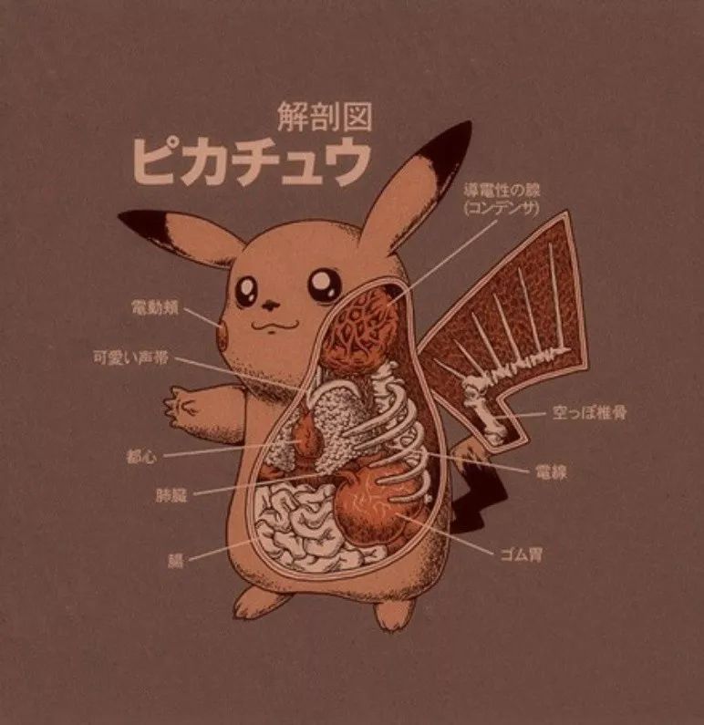 别被皮卡丘的外表迷惑了它的阴暗面你真的不知道