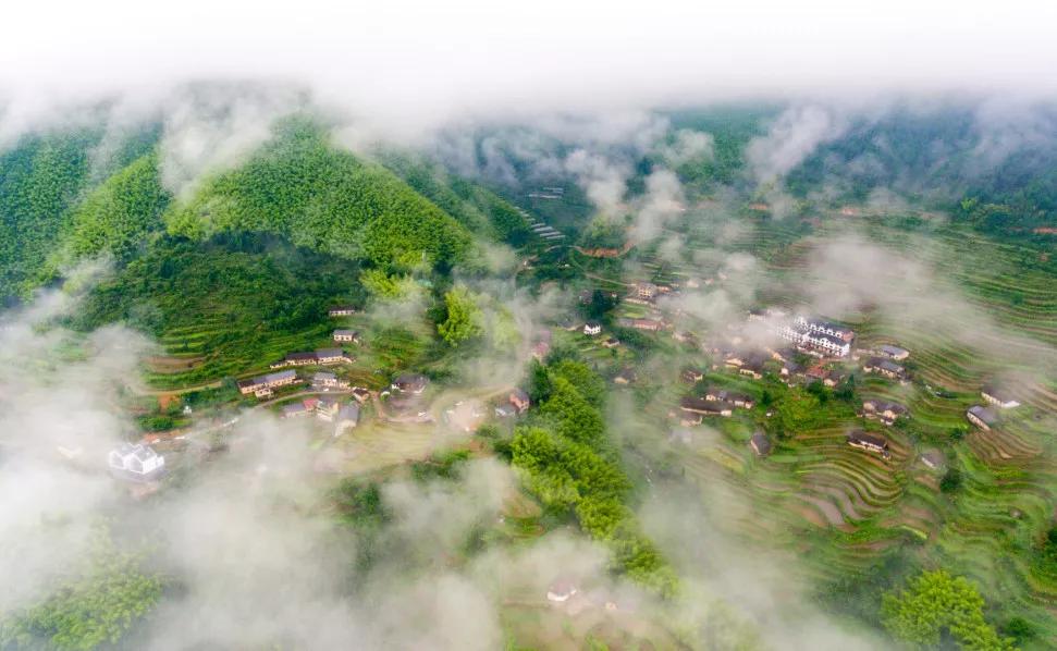 活動預告期待已久雲和第十三屆開犁節精彩搶先看