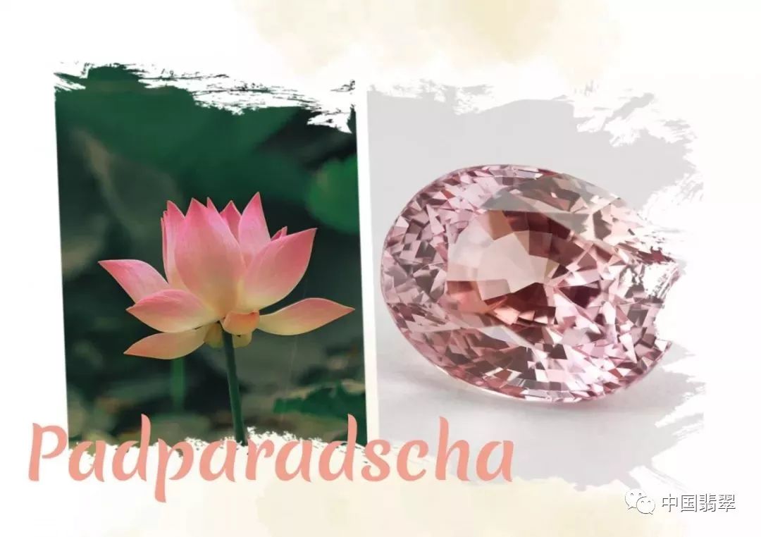 不是所有的橙粉色蓝宝石都能叫作"帕帕拉恰"