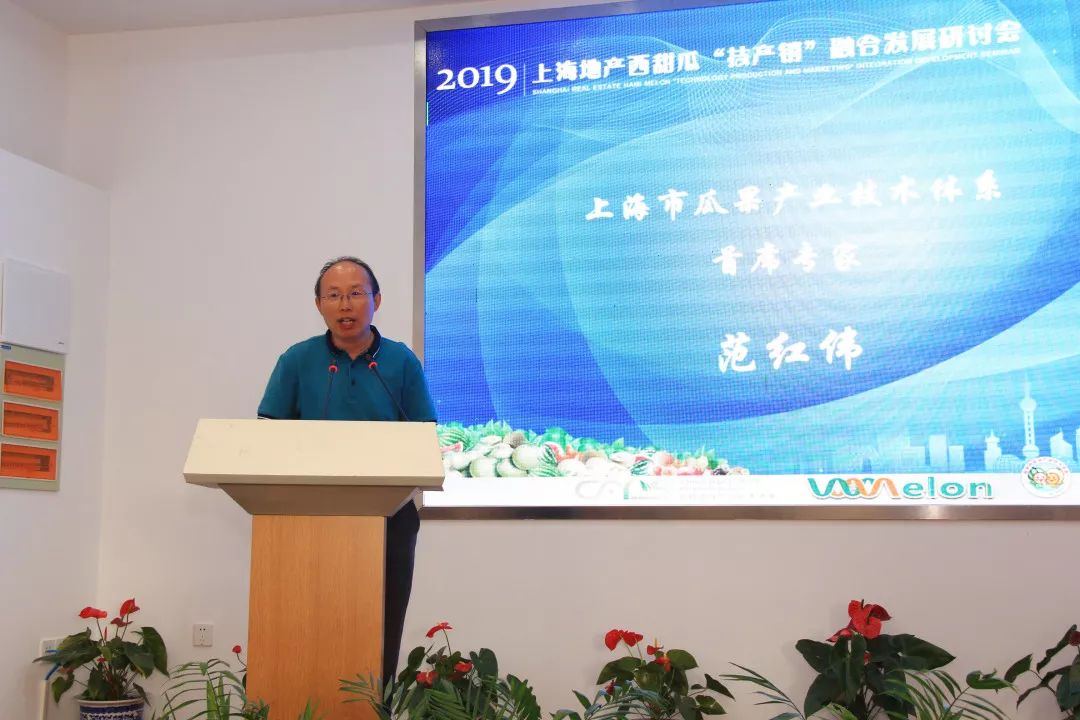 2019上海地产西甜瓜"技产销"融合发展研讨会在嘉定区华亭哈密瓜主题