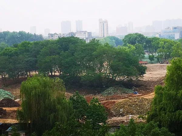 南充人都在关心的北湖公园怎么样了最新改造进度曝光