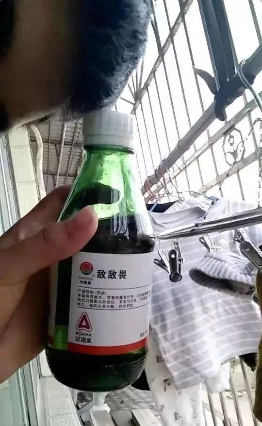 在死之前,他打开视频,在班级群里直播,一页页地将语文书撕下,然后烧掉