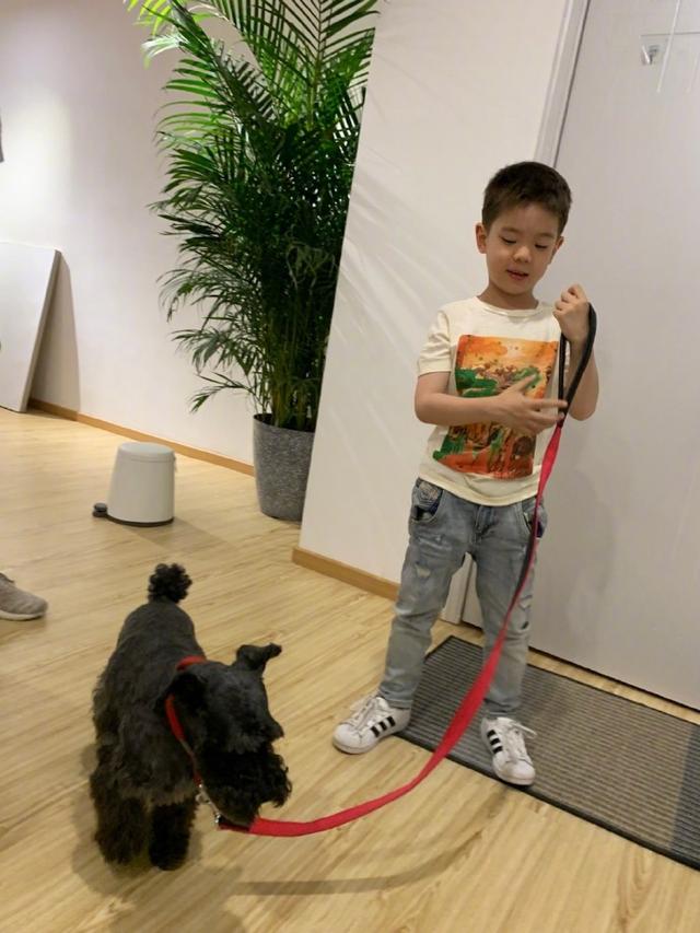 杜江晒嗯哼踢足球,剪短发的嗯哼变得更阳刚,改走高冷路线?