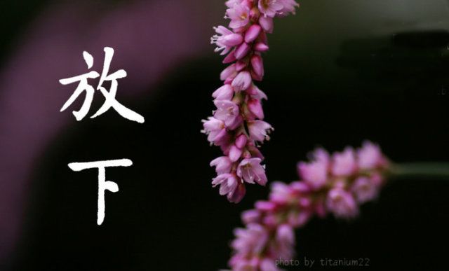 致自己,放下吧!