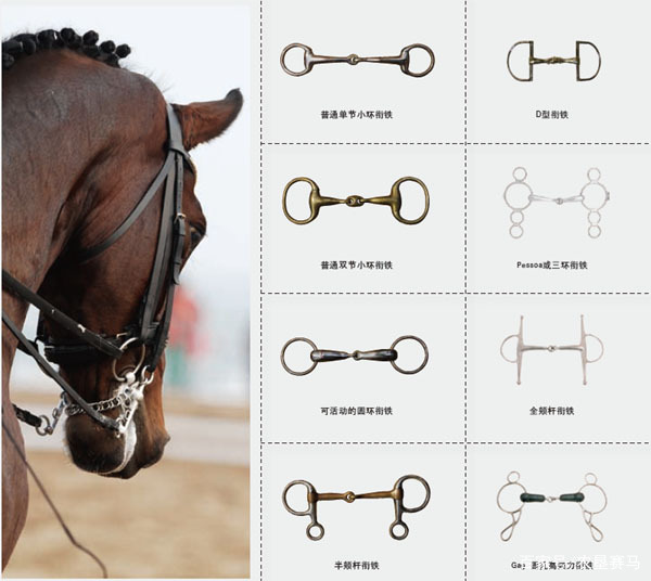 马衔铁马身上的装备越少说明骑手的骑术越高