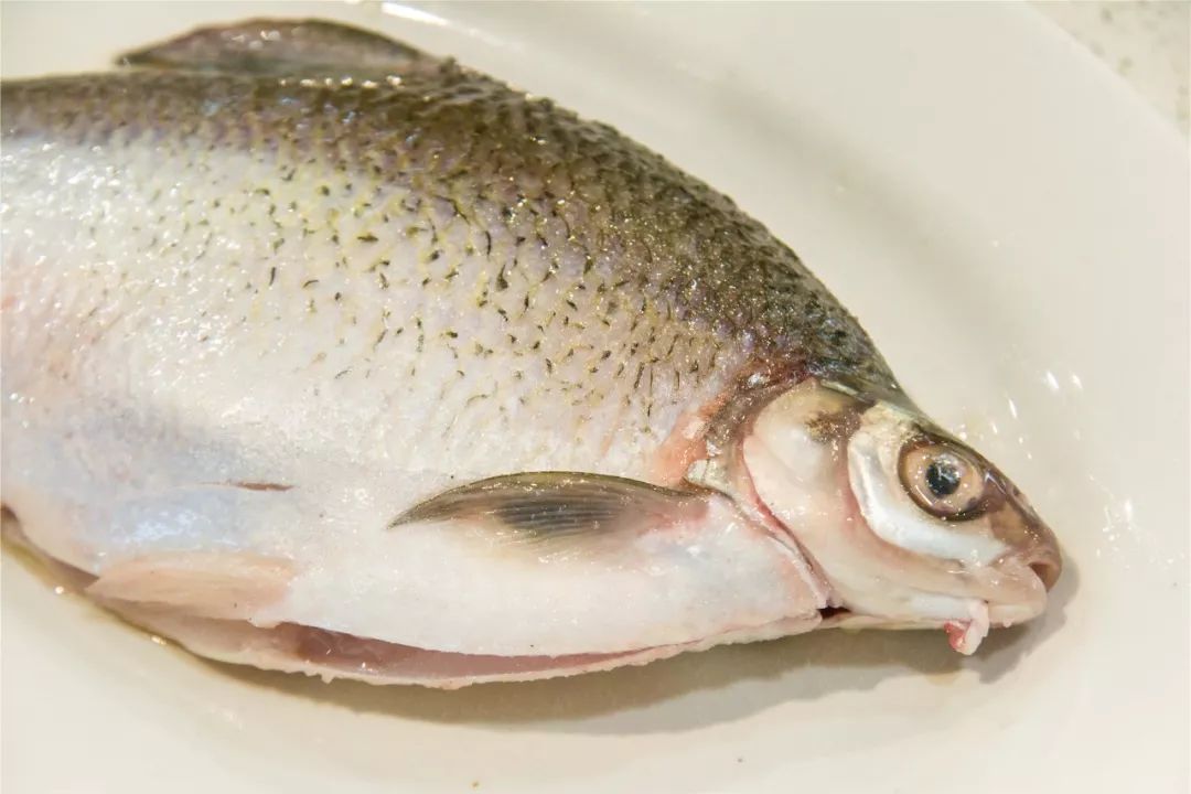 2 鳊鱼处理把鳊鱼放血,打鳞,继而开肚挖清内脏及鳃,并洗刷干净.