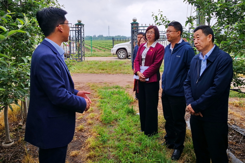 市科技局调研灵台泾川县科技创新工作