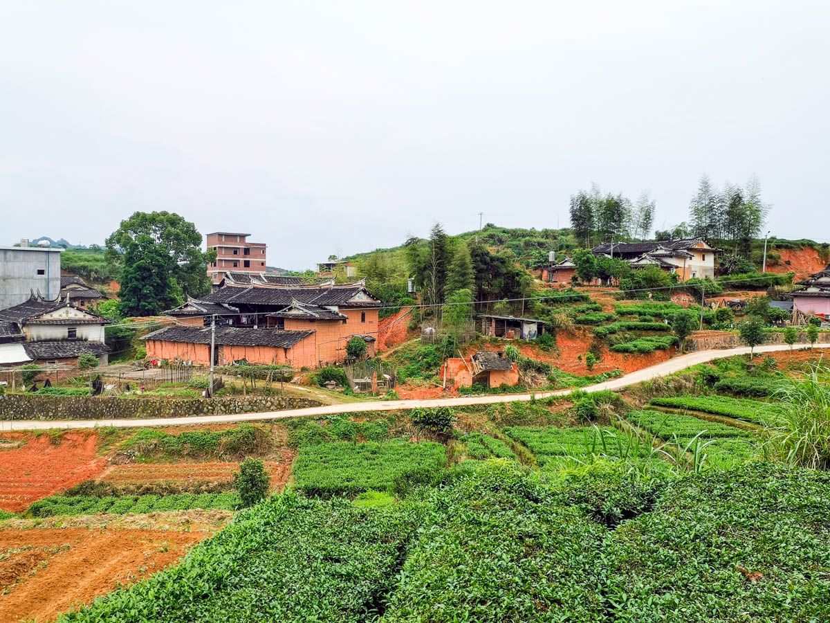 闽南采风来到安溪蓝田,就在这环境优美的古老茶乡里过一把茶瘾吧