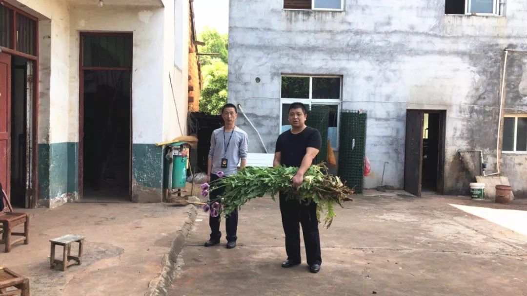 接地气有担当的牛队长黄宇平