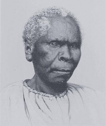 最后灭绝的人种, 1876年被澳大利亚当局赶尽杀绝