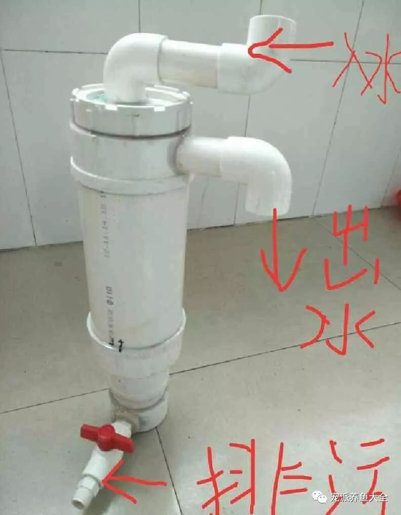 今天我们来认识一下鱼马桶