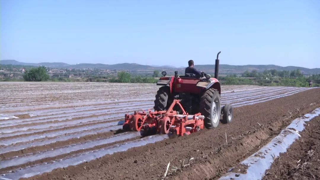 石末乡:"红薯经"="致富经"