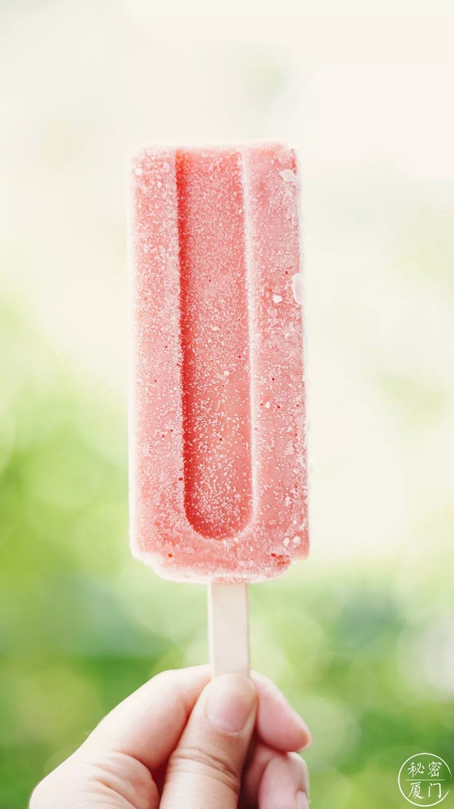 不会像奶油雪糕容易感到腻,也不会像老冰棍那样寡淡.