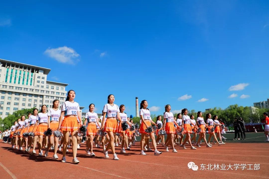 2019·05·31||东北林业大学第52届运动会开幕式方阵风采全景来袭!