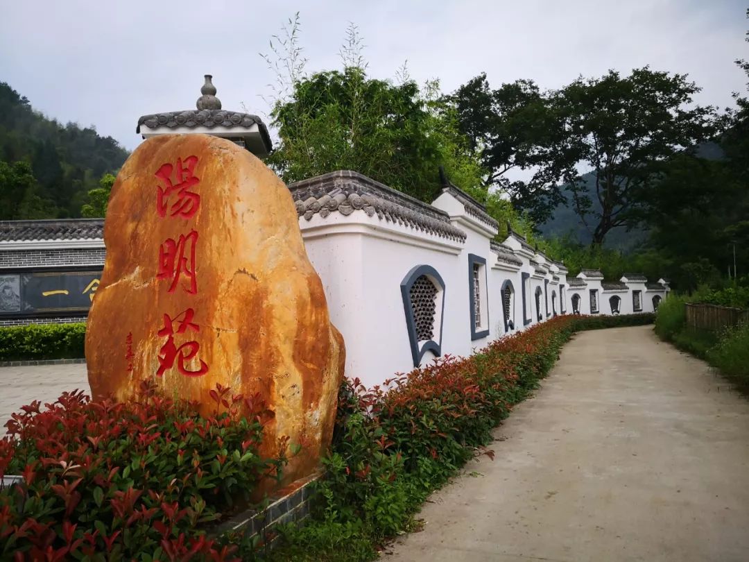 阳明苑一花一草一路一见倾心阳明苑虽然不大,但亭