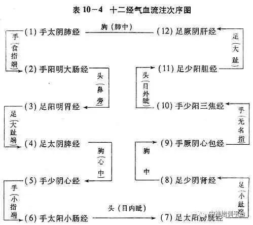 为什么叫子午流注图片