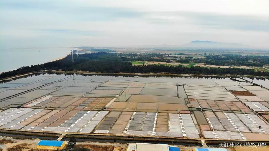 东方盐场优质海盐深受青睐 产品远销国内外