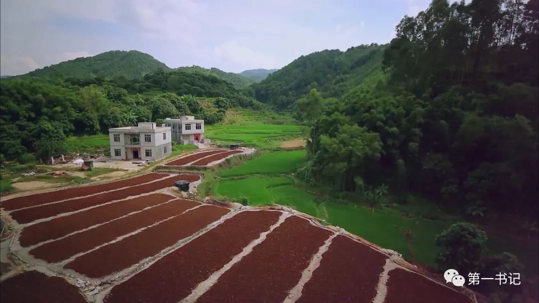 五月,太陽拼命地炙烤著大地,廣西藤縣東榮鎮坡頭村到處熱浪滾滾,就算