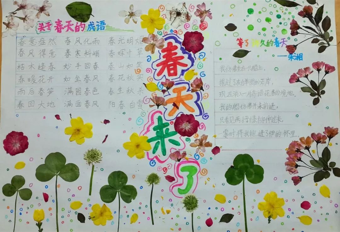 春花节的手抄报图片
