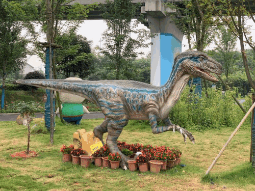 六一来枫林花海和孩子一起看繁花似锦孔雀齐飞恐龙活灵活现