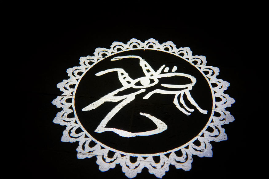 原创爱上一座城因为她的名字叫丽江