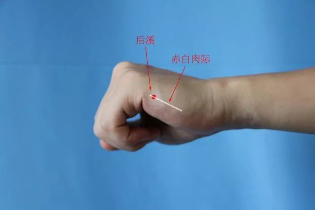 定位:在手内侧,第5掌指关节尺侧近端赤白肉际中.