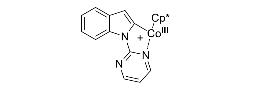 常见催化剂cpcocoi2