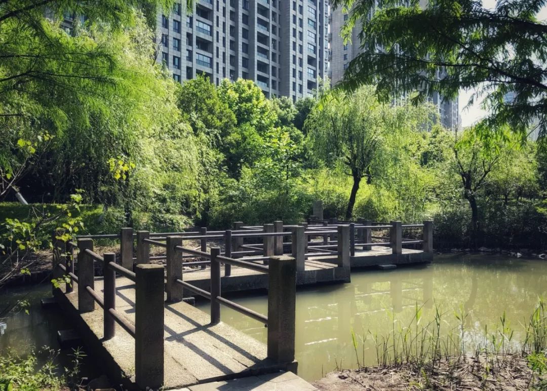 萧山北塘河公园图片