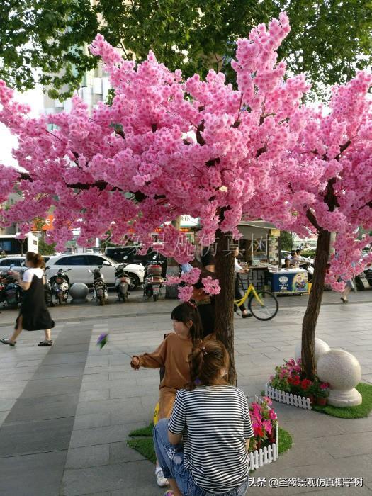 圣缘景观仿真樱花树|在樱花树下,美成宫崎骏的童话