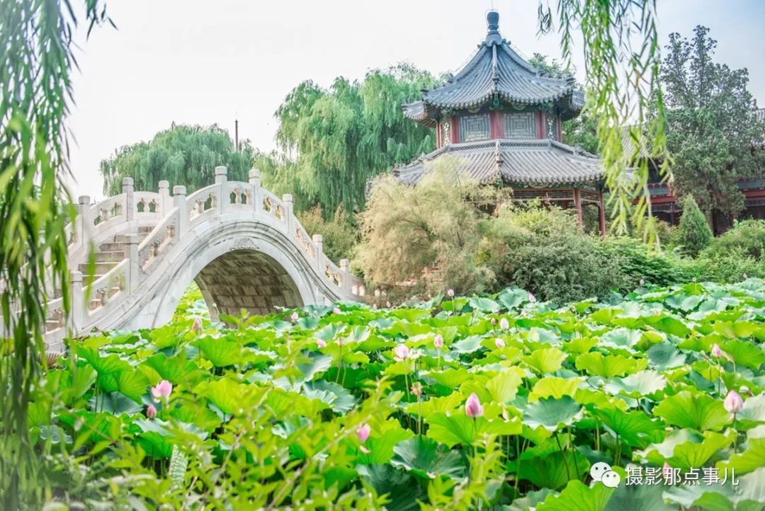 古莲花池直隶总督署拿这个证件免门票